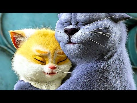 Oscar Et Le Monde Des Chats Bande Annonce En Français