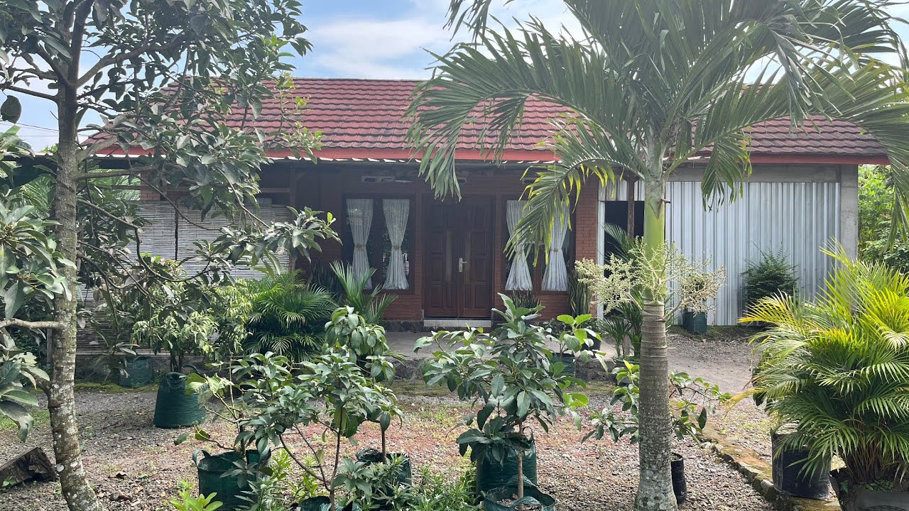 Dijual Rumah Asri & Nyaman di Bangunkerto, Turi, Sleman – Cocok untuk Masa Pensiun! | SB EPS435