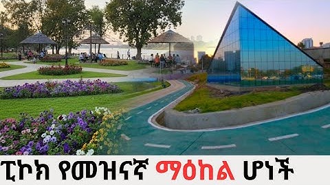 WORDLD Class Hub:The Peacock Effect How This Project Will Change Addis Ababa Living Forever 
