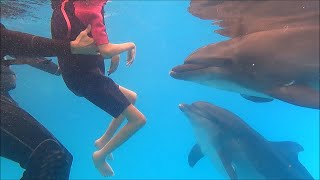 Delphin Therapie Türkei Ines