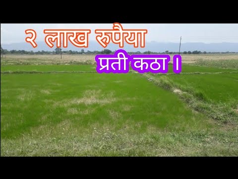 वीडियो: लेकसाइड कार्यालय