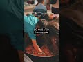 Eid mobaruk #ytshorts #shortsfeed #eidmubarak