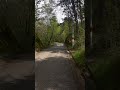 Nature Walk