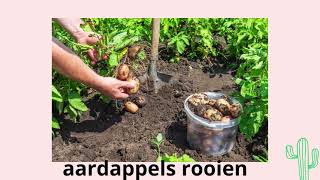 NT2 - Nederlands leren - Learning Dutch: Werken in de tuin