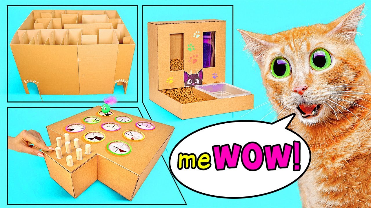 Cool Crafts For Your Cat How to Build a Cat Maze, a Cat Game and a