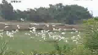 20091124-2《靜思晨語。法譬如水》口業無門最難遮