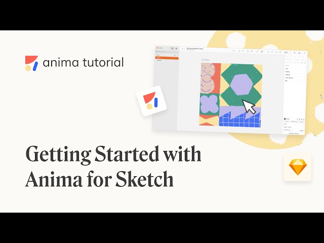 Import a Sketch design file to Anima  Anima Blog