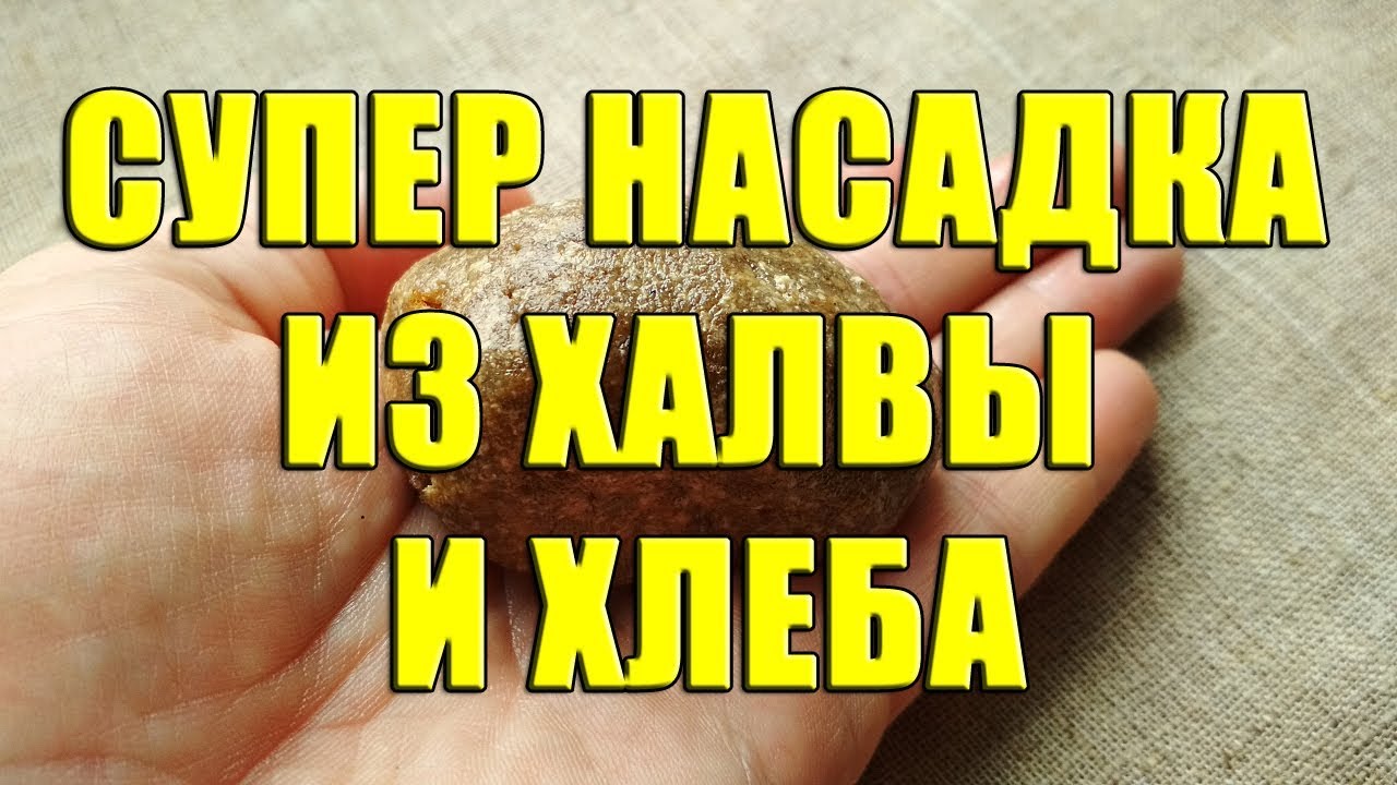 ⁣Супер насадка из халвы и хлеба. Эффективная приманка из халвы и хлеба