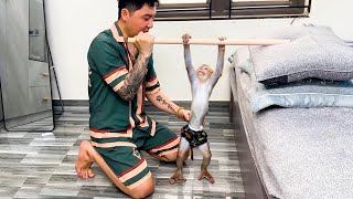 Dad helps Monkey Kaka exercise to improve his health