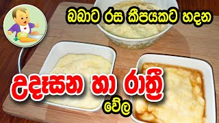 බබාට රස කීපයකට හදන උදෑසන හා රාත්‍රී වේල - Baby Food Sinhala Recipe - බබාට කෑම - Babata Kema