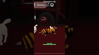 ЕСЛИ ЭТО ЗАЛИТИТ  Я СЪЕМ СВОЙ ТАПОК#memes #жизненный #мем #mm2roblox
