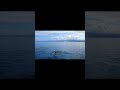 Witnessing Whales, Húsavik, Iceland from Elizabeth G. 🐳