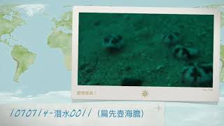 1070714-潛水0011（扁先壺海膽）