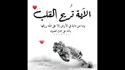 ايه من القرآن الكريم أروع تلاوه وترتيل جميل