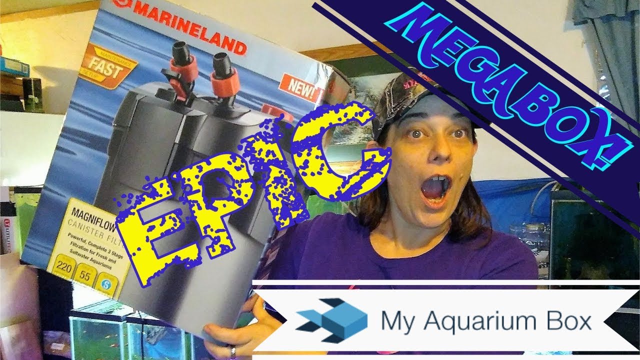 My Aquarium Box Mega Box Unboxing YouTube