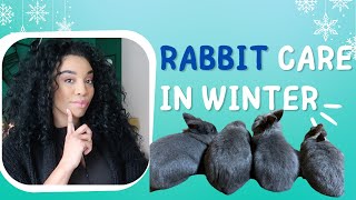 KEEPING RABBITS WARM DURING WINTER | Indoor & Outdoor Care by Domanique's Diary 312 views 1 year ago 15 minutes