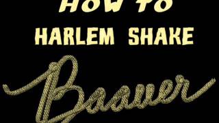Harlem shake (2x speed)