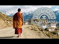 Balance Your Emotions with Tibetan Sound Vibrations | Eliminate Stress and Anxiety