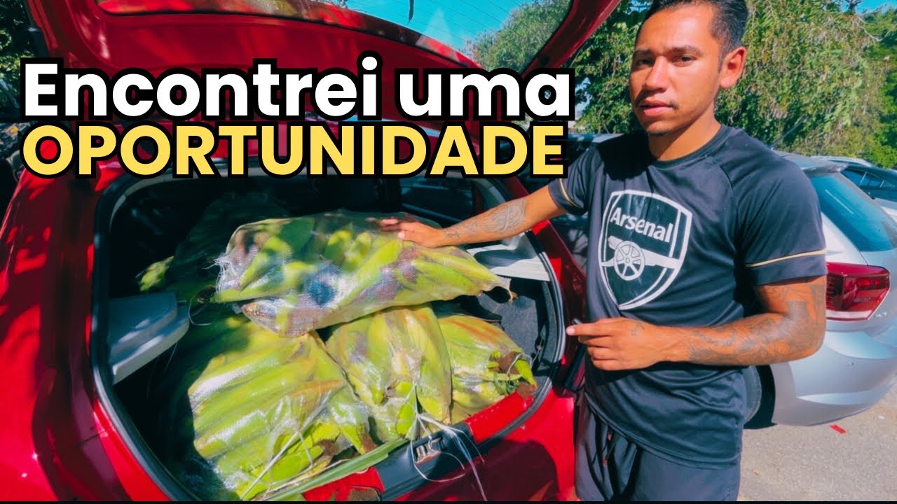 GANHEI DINHEIRO VENDENDO MILHO