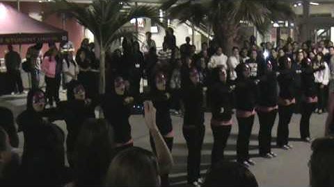 SLG NU Chapter Probate 1