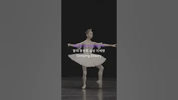 몇 바퀴 턴하는지 세려다가 포기 Shorts 발레 