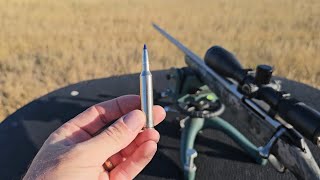 This Could Be The Best All Around Hunting Cartridge. 