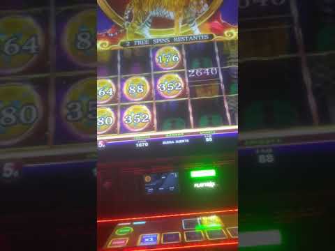 Watch Voodo Magic Video at CoolCat Casino