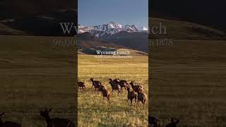 Comment “RANCH” for more information