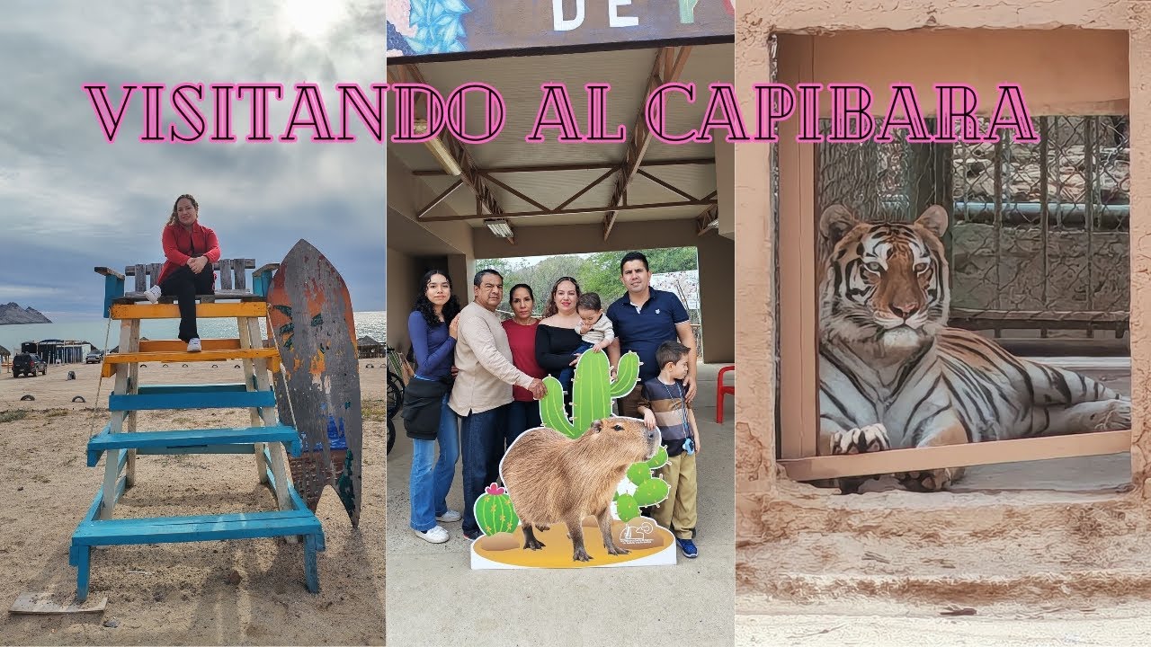 Visitando al capibara 