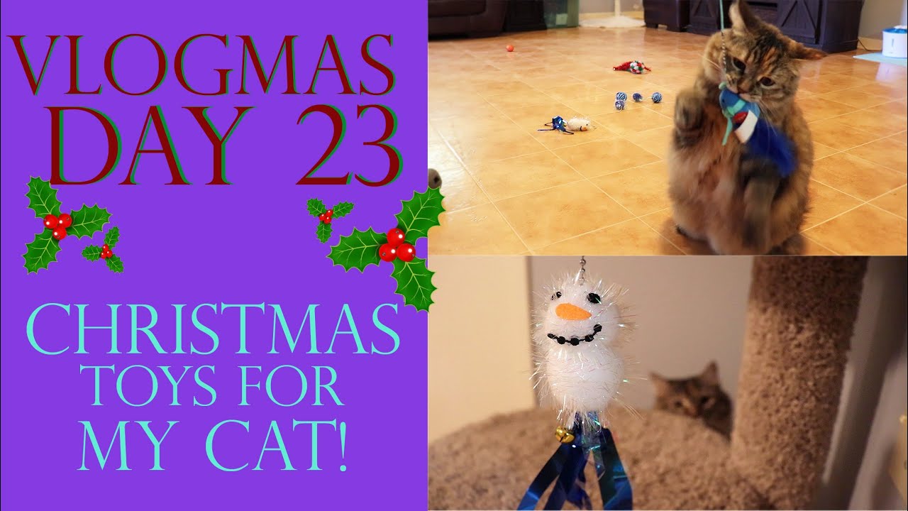 Vlogmas Day 23 CHRISTMAS TOYS FOR MY CAT! YouTube
