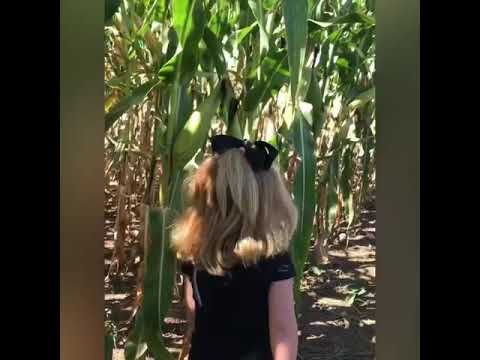 camera iphone 8 plus apk 🌽 conhecendo um Milharal 🌽
