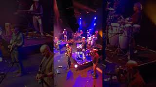 One night of dire straits -tribute Show 22.11.25 Mannheim 