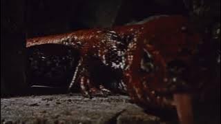 Fight with the chemelion journey to the centre of the earth 1959 scene