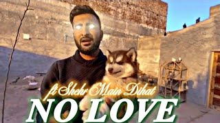 No Love Ft Shehr Main Dihat Turab And Sabtain Video Editing