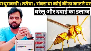Insect Bite Treatment In Hindi - Bee & Wasp Bite Treatment || wasp bite treatment || Medical jankari