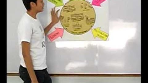 Organizational Environment & Cultures