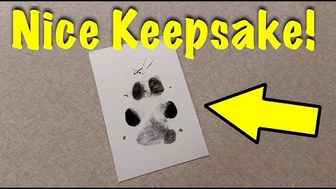 Create Lasting Memories with the Pearhead Dog Footprint Kit – Easy DIY Pet Keepsake