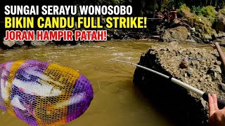 GACOORR‼️ Mancing di sungai keruh pesta strike (micro fishing)