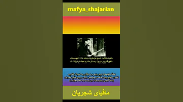 توضیحات لطفی در مورد خزعبلات گفتاری شجریان در دادسرا و ماجرای نوازندگان سه راه سیروس قسمت اول 