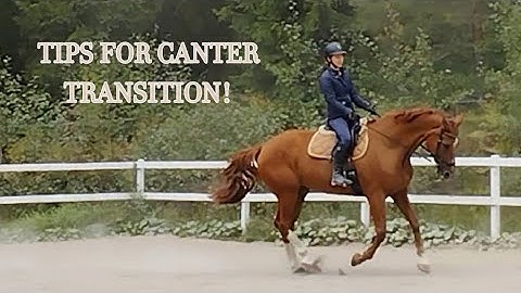 Canter transition! Tips for picking up canter + typical mistakes (horse riding)