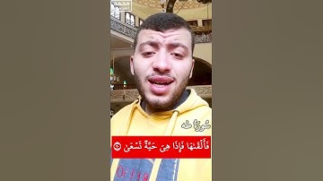 تلاوة من سورة طه || وَمَا تِلْكَ بِيَمِينِكَ يَا مُوسَى ||