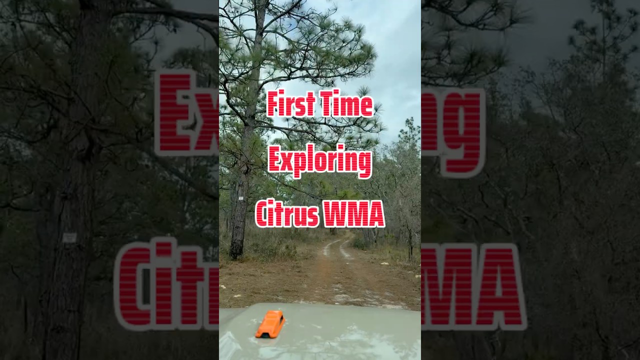 First Time Exploring Citrus WMA | Jeep Gladiator Trail Ride