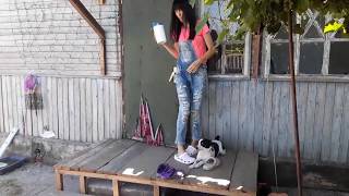 У КОШКИ КРОВОТЕЧЕНИЕ\ЖИЗНЬ ДОМАШНИХ ЖИВОТНЫХ У КОШКИ КРОВОТЕЧЕНИЕ\ЖИЗНЬ ДОМАШНИХ ЖИВОТНЫХ