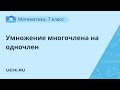 Математика 7 класс. Умножение многочлена на одночлен