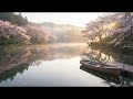 Spring Lake Serenity in 4K | Cherry Blossom Sunrise Wall Art with Peaceful Boat Ambience