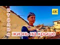 Переезд в Италию -минусы и плюсы