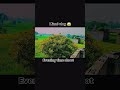 mini vlog 😱#13million #naturelovers #10kviews coming soon 🔜