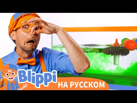 видео: Утонет или всплывёт? | Блиппи на Русском | Изучай этот Мир вместе с Блиппи | Blippi