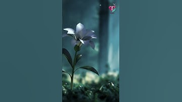 سورة مريم - ٦٤