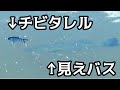 バス釣り　見えバスＶＳチビタレル　夏の青木虫パターン